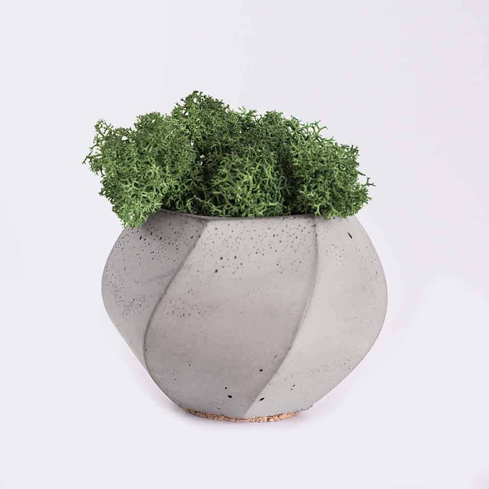 Florist Jabodetabek Plant4 Free Img